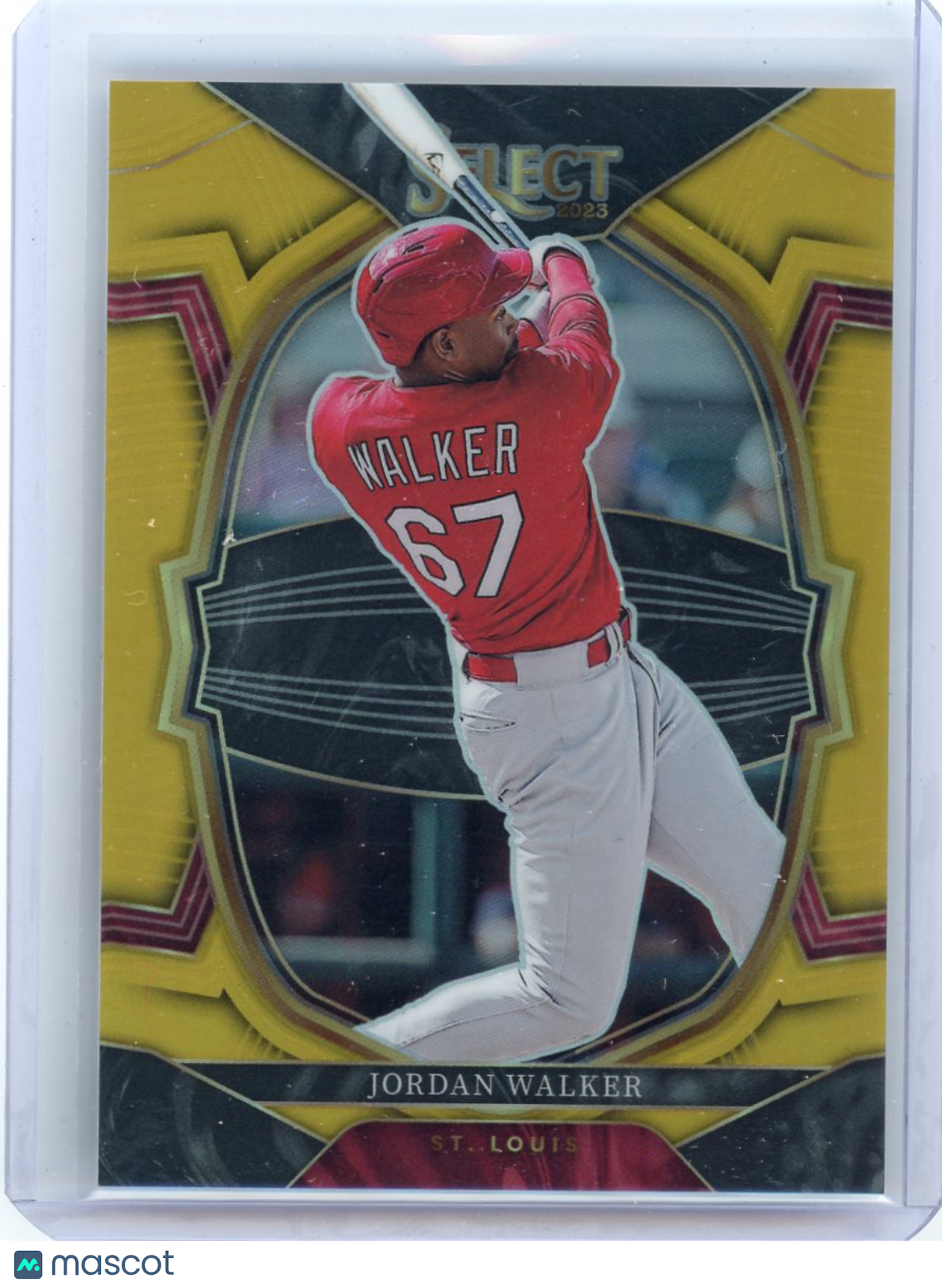 Roadshow Cards - Sports Cards and Breaking