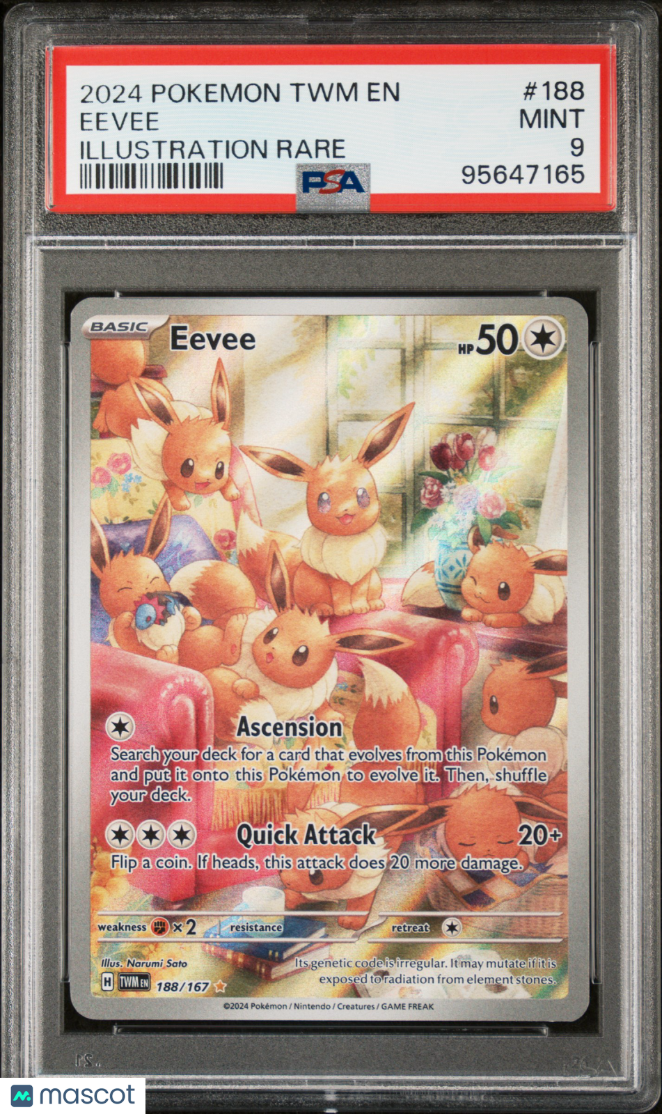 2024 Pokemon TWM EN-Twilight Masquerade Eevee #188 Illustration Rare PSA 9
