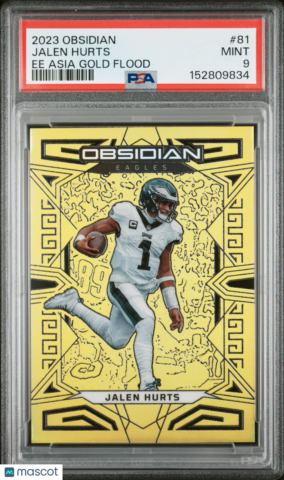 Roadshow Cards - Sports Cards and Breaking