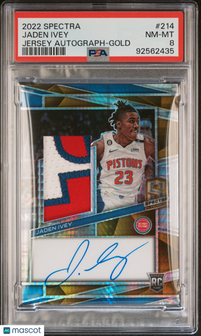 Basketball Graded  Roadshow Cards